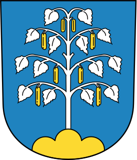 Wappen von Birchwil